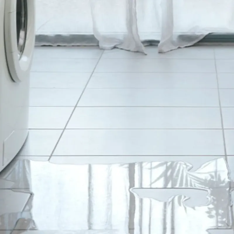 Appliance Leak Cleanup in New Port Richey East, FL